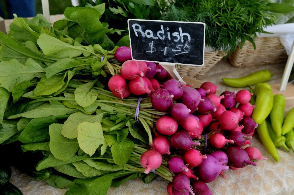 Radish 1